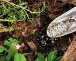 Quali tipologie di fertilizzanti esistono per il giardinaggio e gli orti?