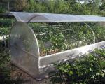 Come costruire da soli una serra per farfalle polykarbonaatista
