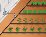 Príďte organizovať l'irrigazione automatica in una serra