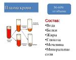 What is blood plasma made of and what is it for in medicine