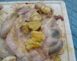 Dropsy nel pollo: trattamento ja syy