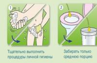 Why during pregnancy erythrocytes appear in urine, is it dangerous?