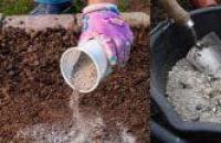Príďte použiť celidonia contro gli afidi Usare la celidonia per spruzzare il giardino e l'orto