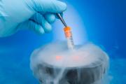 Como se comportar após o reimpianto degli embrioni durante a fertilização in vitro, quando dovrebbero attecchire e como capire che l'impianto è avvenuto?